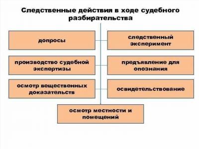 Допрос свидетелей и экспертов во время суда