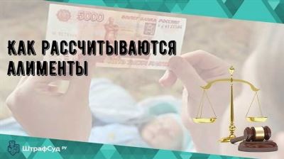 Активная позиция в защите своих прав: борьба за справедливость