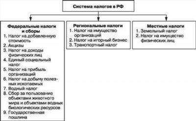 Федеральные налоги: основные характеристики и принципы определения