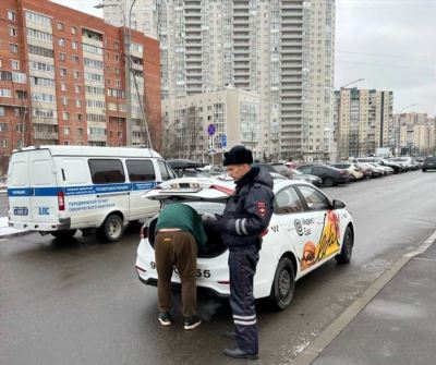 Судебная активность и налоги