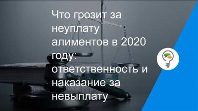 Какие документы понадобятся для проверки долга?