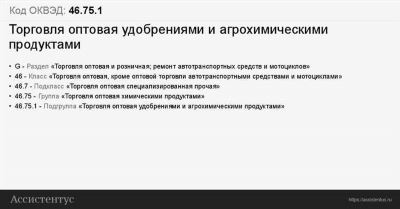 Что такое коды ОКВЭД и зачем они нужны