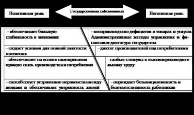 Особенности неразграниченной государственной собственности на землю