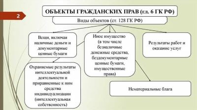 Интеллектуальная собственность: особенности в России и за рубежом