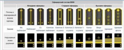 Погон для формы: важность правильного размера