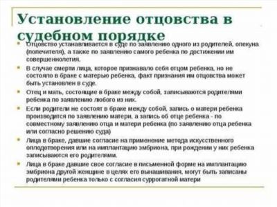 Информация о стоимости услуг адвоката по установлению отцовства