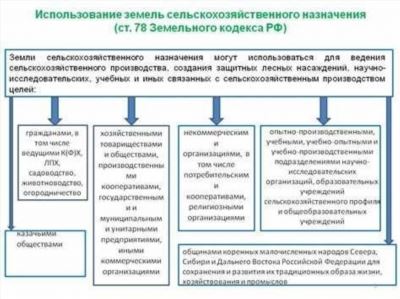 Информация о брокере